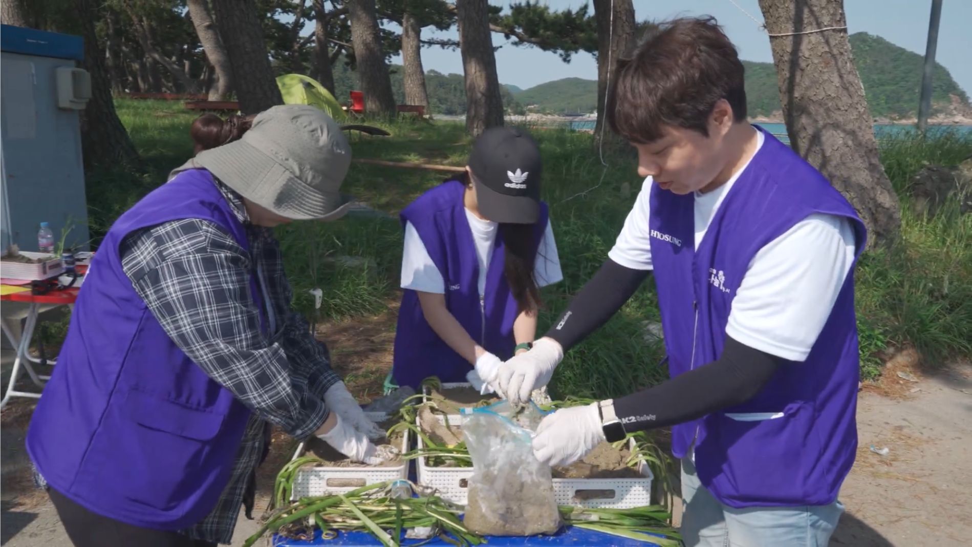 해양생태계 복원을 위한 잘피숲 관리 사업의 일환으로, 잘피를 점토에 부착하여 식재를 준비하는 모습